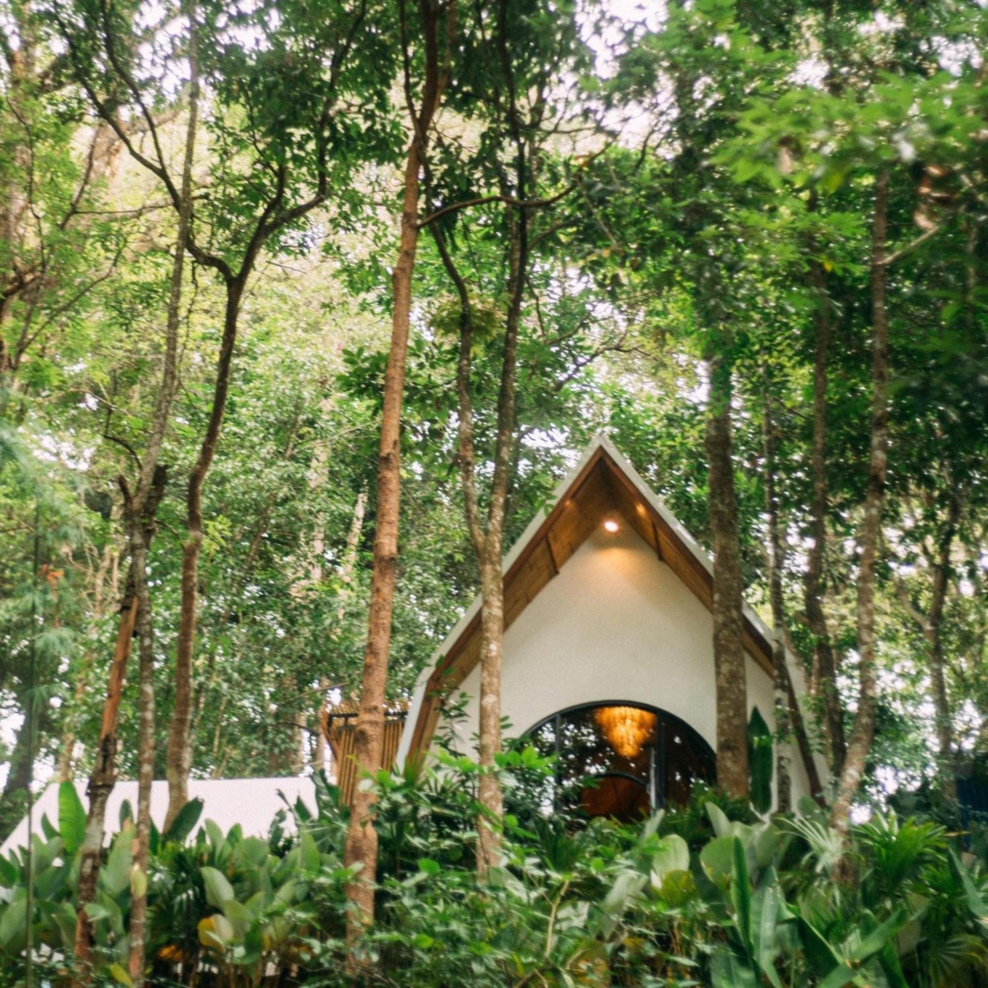 Hotel Lannawild Chiang Mai Habitación foto